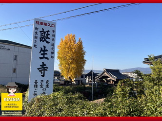 ゆく年くる年(1)京都伏見の久我の誕生寺の大イチョウ画像02by京都国際芸術協会CEO北洞院エリ子花前カレン（京都四条北洞院流華法道家元エリ子）＠京この頃ブログ