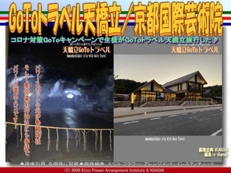 GoToトラベル天橋立／京都国際芸術院画像02
▼画像クリックで640x480pxlsに拡大＠北洞院エリ子花前カレン