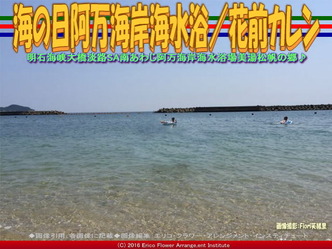 南淡路阿万海岸海水浴／花前カレン画像03