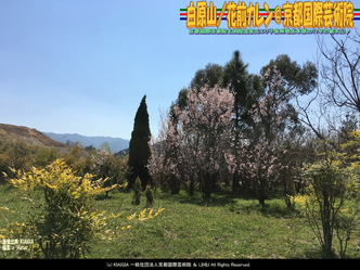 白原山(5)/花前カレン@京都国際芸術院画像02
▼画像クリックで1280x960pxlsに拡大@北洞院エリ子花前カレン 白原山(5)/花前カレン@京都国際芸術院画像02
▼画像クリックで1280x960pxlsに拡大@北洞院エリ子花前カレン