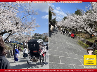 京都東山の桜(3)/北洞院エリ子花前カレン画像
▼画像クリックで1280x960pxlsに拡大@北洞院エリ子花前カレン 京都東山の桜(3)/北洞院エリ子花前カレン画像
▼画像クリックで1280x960pxlsに拡大@北洞院エリ子花前カレン