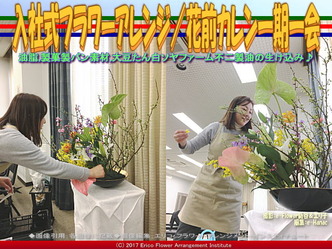 入社式フラワーアレンジ(9)/花前カレン一期一会画像02 入社式フラワーアレンジ(9)/花前カレン一期一会画像02