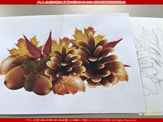 大人の塗り絵(2)＠京都国際芸術協会画像01
▼画像クリックで1280x960pxlsに拡大＠北洞院エリ子花前カレン