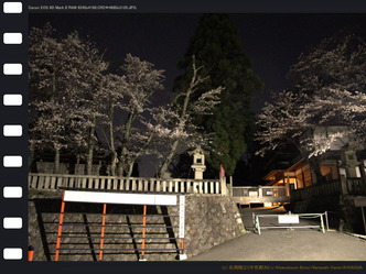 維新の道夜桜満開／花前カレン画像03