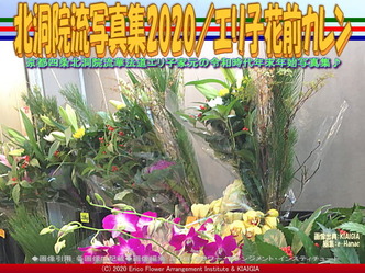 北洞院流写真集2020(4)／エリ子花前カレン画像02
▼画像クリックで640x480pxlsに拡大＠北洞院エリ子花前カレン