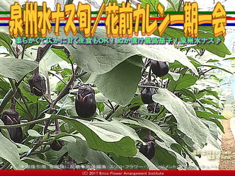 泉州水ナス旬(4)/花前カレン一期一会画像03 泉州水ナス旬(4)/花前カレン一期一会画像03