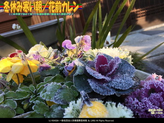 冬休み寒い朝(2)／花前カレン画像02
▼画像クリックで1280x960pxlsに拡大＠北洞院エリ子花前カレン