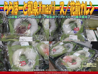 ららぽーと和泉Xmasリース(2)／花前カレン画像03