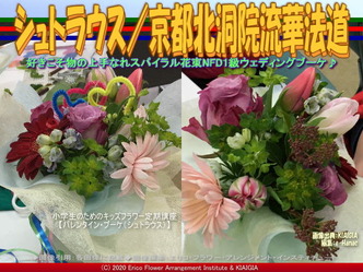 シュトラウス(10)/京都北洞院流華法道画像02
▼画像クリックで640x480pxlsに拡大@北洞院エリ子花前カレン シュトラウス(10)/京都北洞院流華法道画像02
▼画像クリックで640x480pxlsに拡大@北洞院エリ子花前カレン