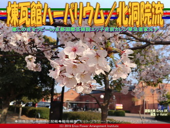 煉瓦館ハーバリウム/北洞院流画像01
▼画像クリックで640x480pxlsに拡大@エリ子花前カレン 煉瓦館ハーバリウム/北洞院流画像01
▼画像クリックで640x480pxlsに拡大@エリ子花前カレン