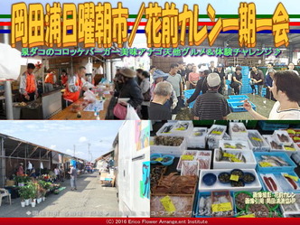 岡田浦日曜朝市／花前カレン一期一会画像02