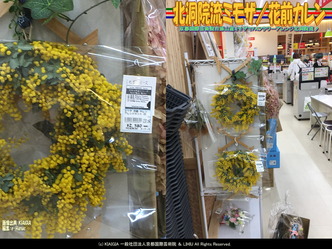 北洞院流ミモザ(7)/花前カレン画像02
▼画像クリックで1280x960pxlsに拡大@北洞院エリ子花前カレン 北洞院流ミモザ(7)/花前カレン画像02
▼画像クリックで1280x960pxlsに拡大@北洞院エリ子花前カレン