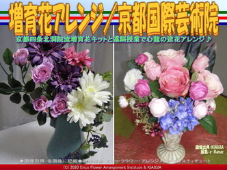 増育花アレンジ(11)/京都国際芸術院画像01
▼画像クリックで640x480pxlsに拡大@北洞院エリ子花前カレン 増育花アレンジ(11)/京都国際芸術院画像01
▼画像クリックで640x480pxlsに拡大@北洞院エリ子花前カレン