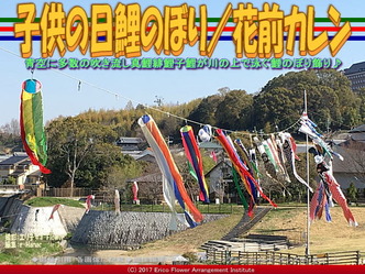 子供の日鯉のぼり(2)/花前カレン画像03 子供の日鯉のぼり(2)/花前カレン画像03