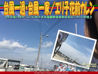 台風一過・台風一家／エリ子花前カレン画像01