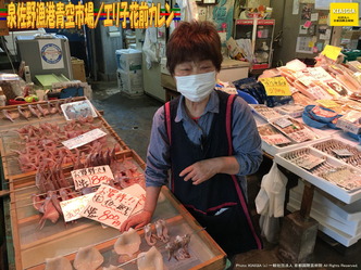 泉佐野漁港青空市場(4)/エリ子花前カレン画像01
▼画像クリックで1280x960pxlsに拡大@北洞院エリ子花前カレン 泉佐野漁港青空市場(4)/エリ子花前カレン画像01
▼画像クリックで1280x960pxlsに拡大@北洞院エリ子花前カレン