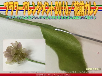 プリザーブドフラワーアレンジ(4)/テーピング花前カレン画像02 プリザーブドフラワーアレンジ(4)/テーピング花前カレン画像02