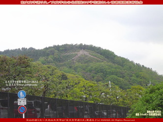 左大文字送り火/大文字山(2)@花前カレン画像01
▼画像クリックで1280x960pxlsに拡大@北洞院エリ子花前カレン 左大文字送り火/大文字山(2)@花前カレン画像01
▼画像クリックで1280x960pxlsに拡大@北洞院エリ子花前カレン