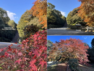 (1)京都伏見桃山明治天皇陵～大階段前紅葉画像
▼画像クリックで1280x960pxlsに拡大＠北洞院エリ子花前カレン