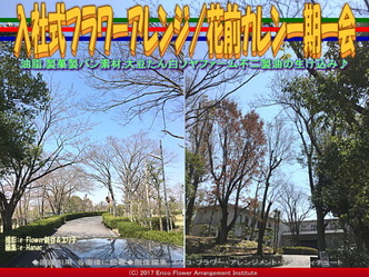 入社式フラワーアレンジ(7)／花前カレン一期一会画像01