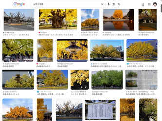 ゆく年くる年(3)強い生命力があればこそ生きた化石イチョウ01by京都国際芸術協会CEO北洞院エリ子花前カレン（京都四条北洞院流華法道家元エリ子）＠京この頃ブログ