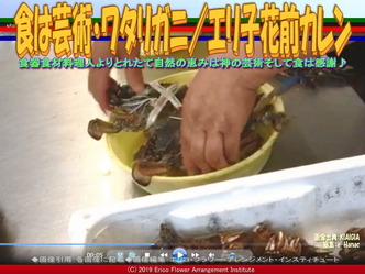 食は芸術・ワタリガニ(3)/エリ子花前カレン画像01
▼画像クリックで640x480pxlsに拡大@エリ子花前カレン 食は芸術・ワタリガニ(3)/エリ子花前カレン画像01
▼画像クリックで640x480pxlsに拡大@エリ子花前カレン