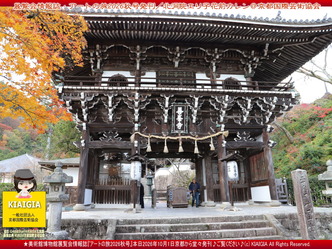 アートの旅2026秋号(7)～善峯寺仁王門【前編】／花前カレン画像
▼画像クリックで1280x960pxlsに拡大＠北洞院エリ子花前カレン