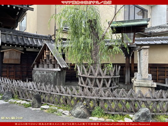 マリア藤倉の京どすえ／島原画像03
▼画像クリックで1280x960pxlsに拡大＠北洞院エリ子花前カレン