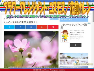 コスモス・フラワーアレンジ(3)/花前カレン画像03 コスモス・フラワーアレンジ(3)/花前カレン画像03