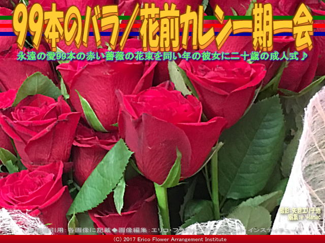 99本のばら花束 5 花前カレン 京この頃 北洞院エリ子花前カレン