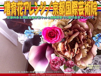 増育花アレンジ(6)/京都国際芸術院画像01
▼画像クリックで640x480pxlsに拡大@北洞院エリ子花前カレン 増育花アレンジ(6)/京都国際芸術院画像01
▼画像クリックで640x480pxlsに拡大@北洞院エリ子花前カレン