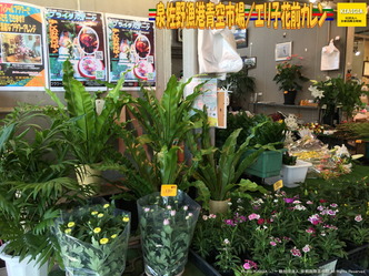 泉佐野漁港青空市場(6)/エリ子花前カレン画像05
▼画像クリックで1280x960pxlsに拡大@北洞院エリ子花前カレン 泉佐野漁港青空市場(6)/エリ子花前カレン画像05
▼画像クリックで1280x960pxlsに拡大@北洞院エリ子花前カレン