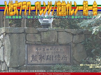 入社式フラワーアレンジ(2)/花前カレン一期一会画像03 入社式フラワーアレンジ(2)/花前カレン一期一会画像03