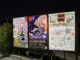 東山ねねの道夜桜/花前カレン画像02