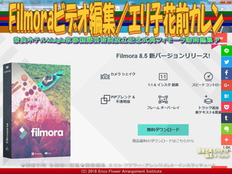 Filmoraビデオ編集(2)/エリ子花前カレン画像01
▼画像クリックで640x480pxlsに拡大@エリ子花前カレン Filmoraビデオ編集(2)/エリ子花前カレン画像01
▼画像クリックで640x480pxlsに拡大@エリ子花前カレン