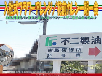 入社式フラワーアレンジ／花前カレン一期一会画像02