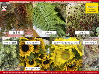 生涯学習KAFACホガース(2)/家元エリ子@京この頃画像
▼画像クリックで1280x960pxlsに拡大@北洞院エリ子花前カレン 生涯学習KAFACホガース(2)/家元エリ子@京この頃画像
▼画像クリックで1280x960pxlsに拡大@北洞院エリ子花前カレン