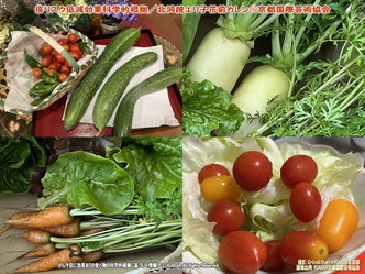 癌リスク低減効果科学的根拠(5)/花前カレン画像
▼画像クリックで1280x960pxlsに拡大@北洞院エリ子花前カレン 癌リスク低減効果科学的根拠(5)/花前カレン画像
▼画像クリックで1280x960pxlsに拡大@北洞院エリ子花前カレン