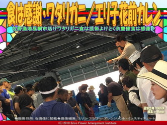 食は感謝・ワタリガニ(3)／エリ子花前カレン画像02
▼画像クリックで640x480pxlsに拡大＠エリ子花前カレン