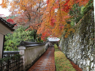 (3)京都西山善峯寺の紅葉はとても綺麗だった！02