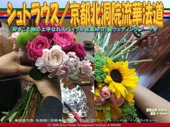 シュトラウス(7)/京都北洞院流華法道画像01
▼画像クリックで640x480pxlsに拡大@北洞院エリ子花前カレン シュトラウス(7)/京都北洞院流華法道画像01
▼画像クリックで640x480pxlsに拡大@北洞院エリ子花前カレン