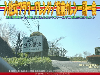 入社式フラワーアレンジ(3) /花前カレン一期一会画像02 入社式フラワーアレンジ(3) /花前カレン一期一会画像02