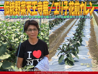 伝統野菜天王寺蕪(5)／エリ子花前カレン画像01