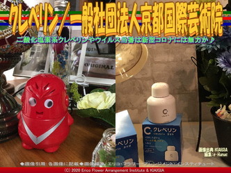 クレベリン(7)／一般社団法人京都国際芸術院画像02
▼画像クリックで640x480pxlsに拡大＠北洞院エリ子花前カレン