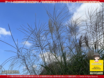 アートの旅2025秋号表紙作り(2)/花前カレン画像
▼画像クリックで1280x960pxlsに拡大@北洞院エリ子花前カレン アートの旅2025秋号表紙作り(2)/花前カレン画像
▼画像クリックで1280x960pxlsに拡大@北洞院エリ子花前カレン