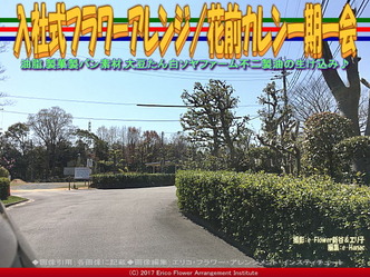 入社式フラワーアレンジ(3) /花前カレン一期一会画像01 入社式フラワーアレンジ(3) /花前カレン一期一会画像01