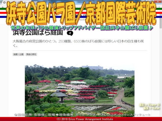 浜寺公園バラ園(2)/京都国際芸術院画像02
▼画像クリックで640x480pxlsに拡大@エリ子花前カレン 浜寺公園バラ園(2)/京都国際芸術院画像02
▼画像クリックで640x480pxlsに拡大@エリ子花前カレン