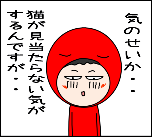 猫と遊べるはずが、地獄だった09