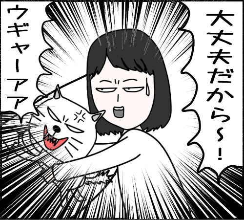 猫と遊べるはずが、地獄だった17