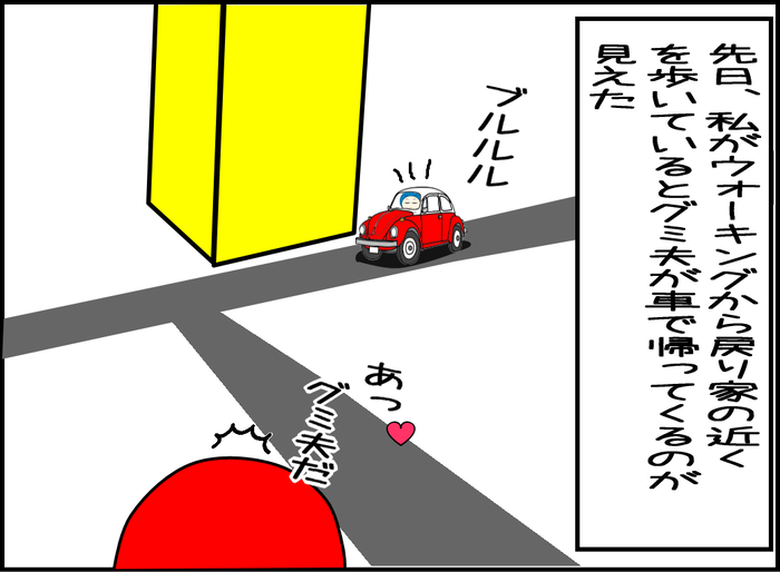 先日、私がウォーキングから帰宅する途中、グミ夫が車で帰ってくるのが見えた